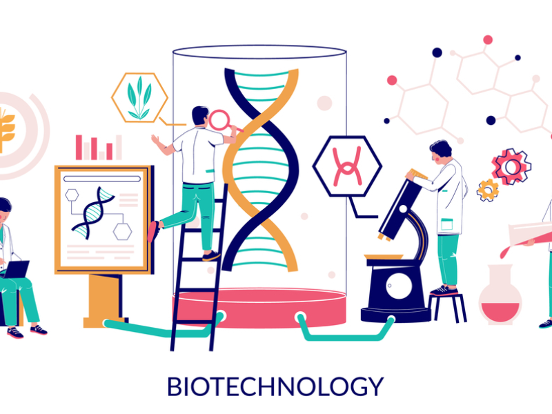 Cách đăng ký du học Đức ngành Công nghệ sinh học