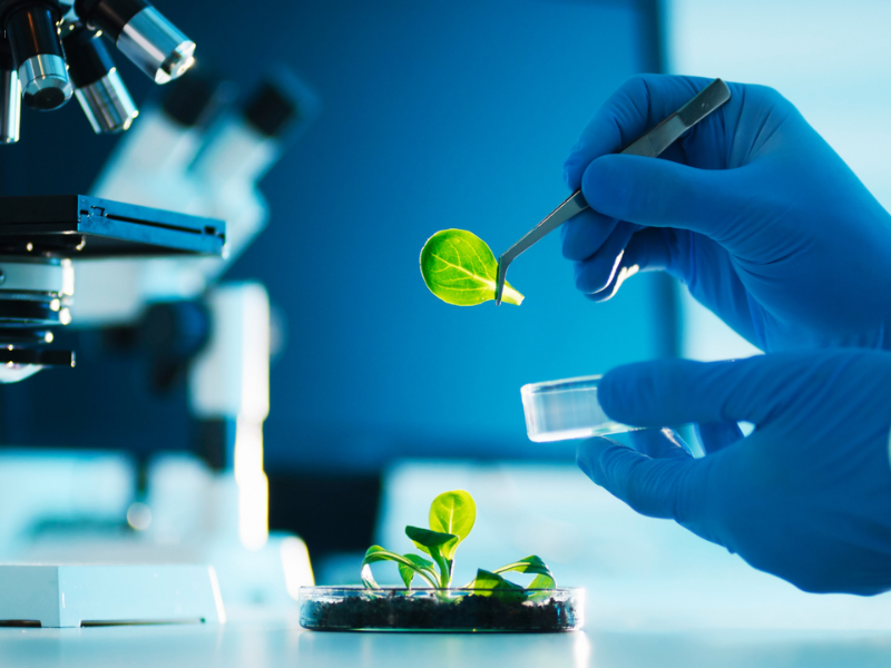 Tại sao nên du học Đức ngành Công nghệ sinh học