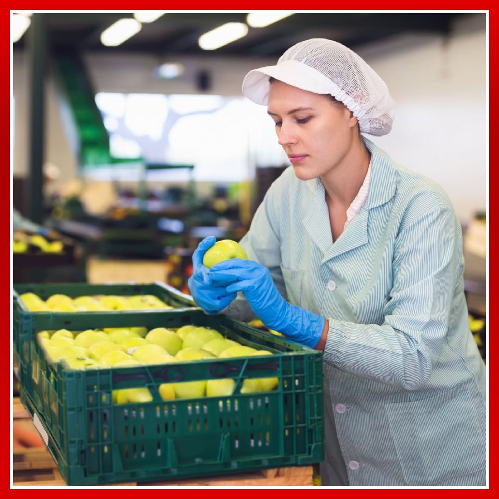 Nhân viên đóng gói